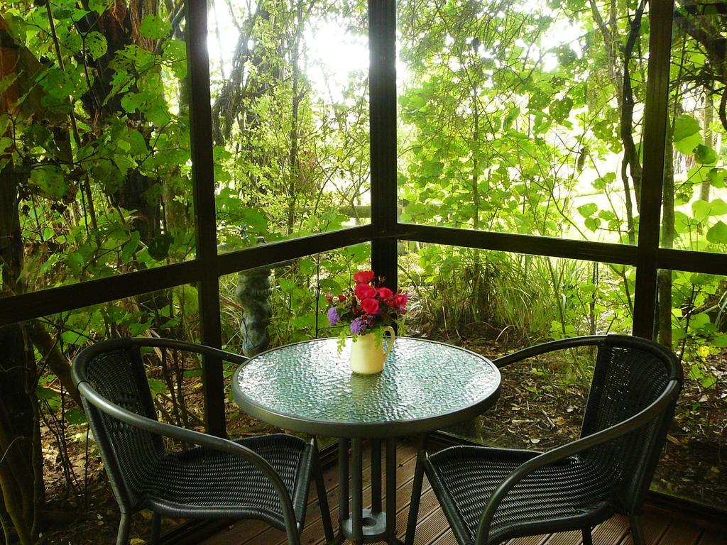 Mount Tutu Eco-Sanctuary Bed & Breakfast Ohauiti Bilik gambar